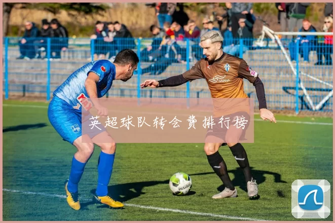 英超球队转会费排行榜