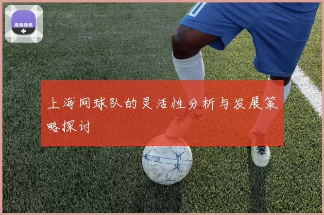 上海网球队的灵活性分析与发展策略探讨