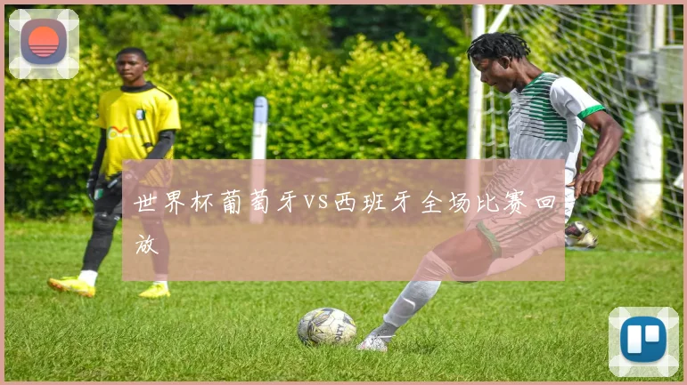 世界杯葡萄牙vs西班牙全场比赛回放
