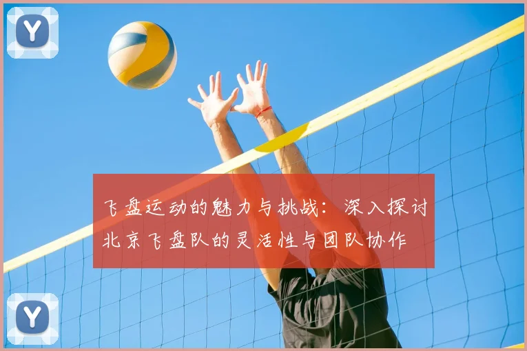 飞盘运动的魅力与挑战:深入探讨北京飞盘队的灵活性与团队协作