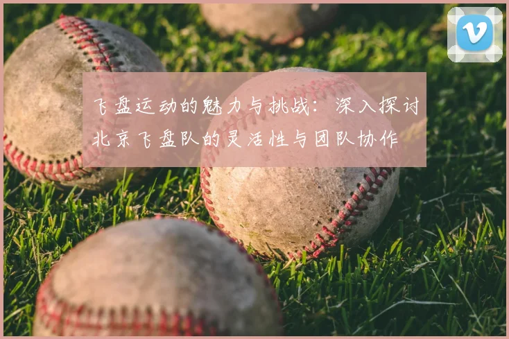 飞盘运动的魅力与挑战:深入探讨北京飞盘队的灵活性与团队协作
