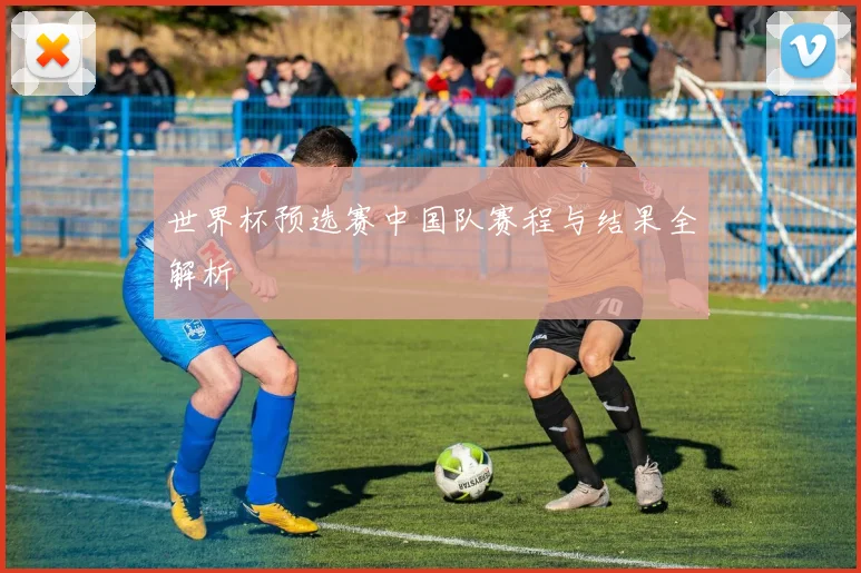 世界杯预选赛中国队赛程与结果全解析