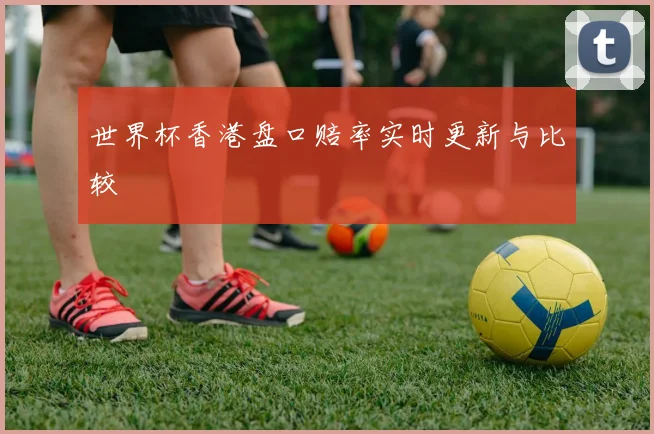 世界杯香港盘口赔率实时更新与比较