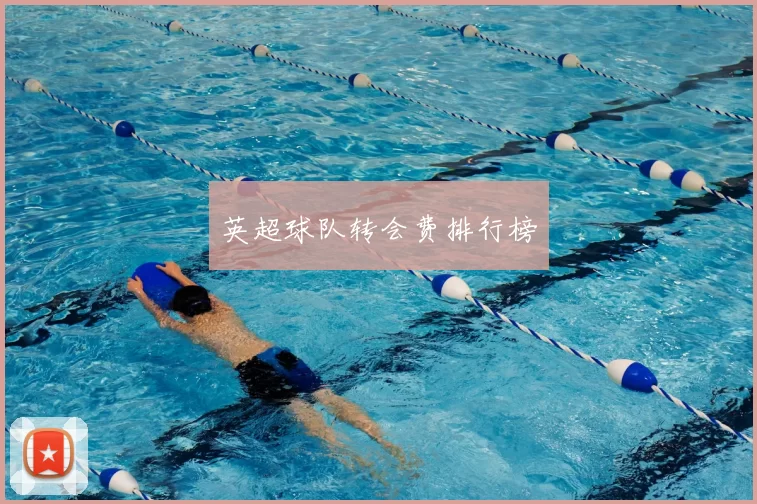 英超球队转会费排行榜