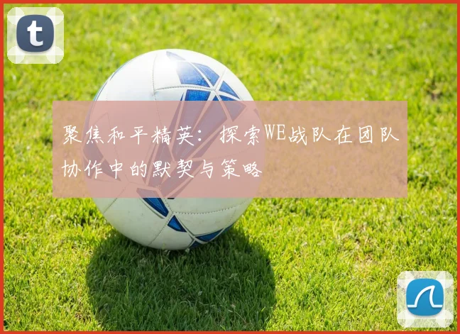聚焦和平精英:探索WE战队在团队协作中的默契与策略