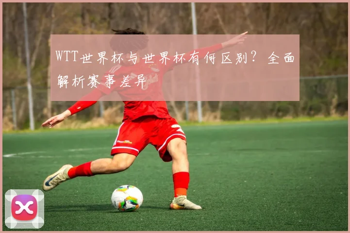 WTT世界杯与世界杯有何区别？全面解析赛事差异
