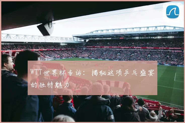 WTT世界杯专访：揭秘这项乒乓盛宴的独特魅力