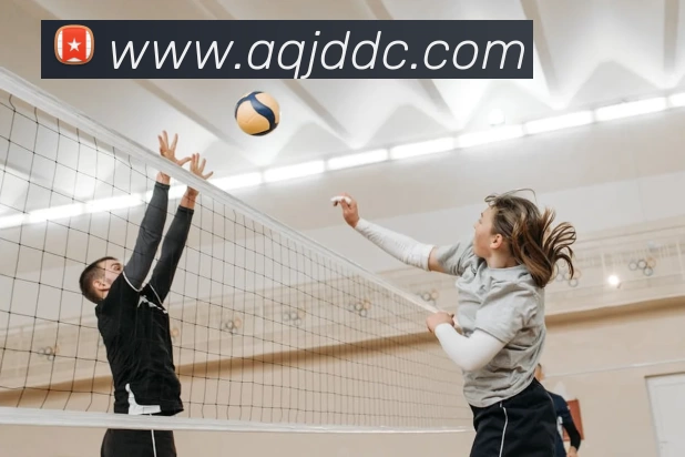 多媒体互动体验