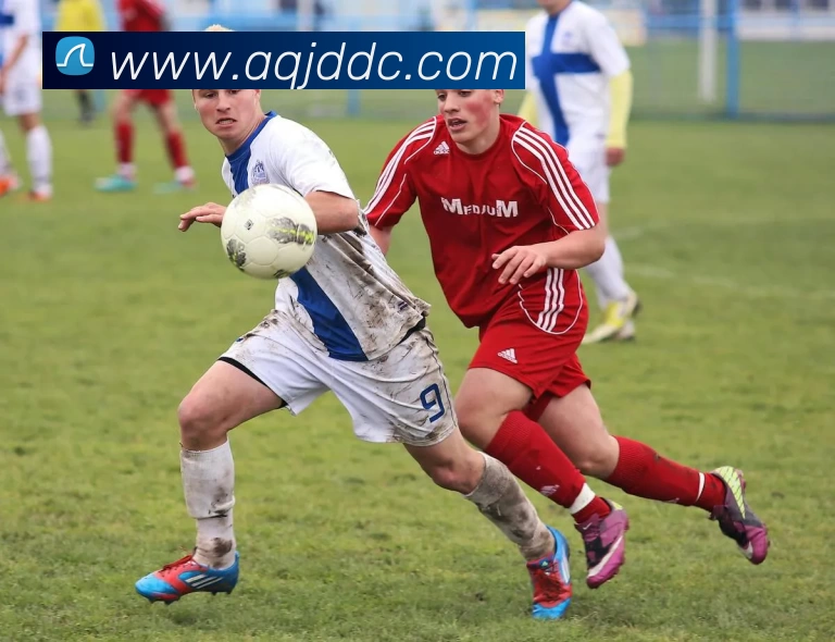 J9集团APP 高清赛事图