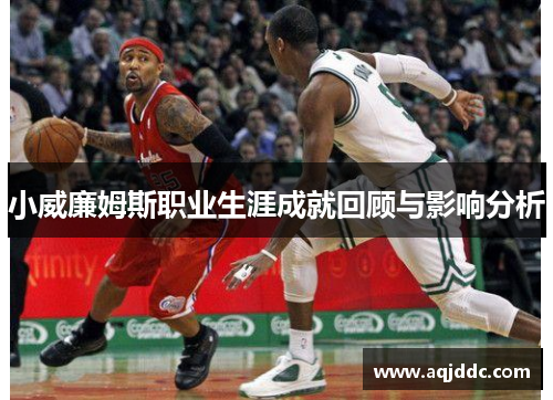 小威廉姆斯职业生涯成就回顾与影响分析