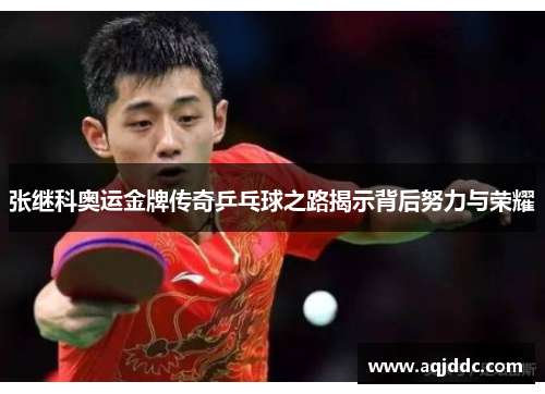 张继科奥运金牌传奇乒乓球之路揭示背后努力与荣耀