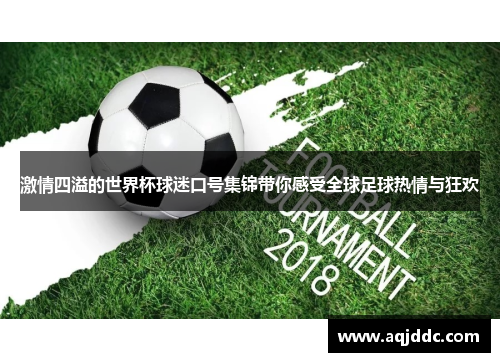 激情四溢的世界杯球迷口号集锦带你感受全球足球热情与狂欢