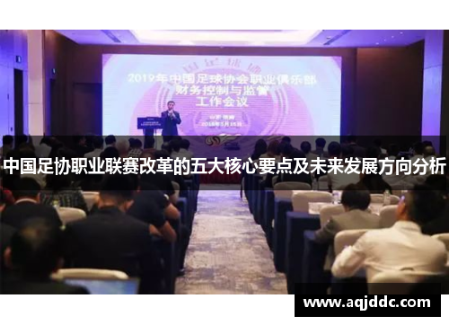 中国足协职业联赛改革的五大核心要点及未来发展方向分析
