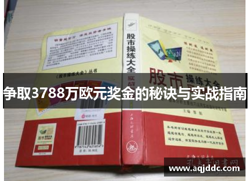 争取3788万欧元奖金的秘诀与实战指南