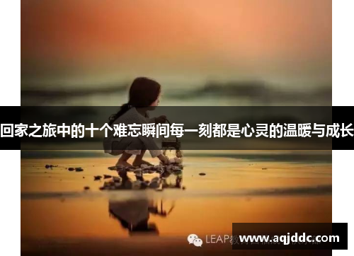 回家之旅中的十个难忘瞬间每一刻都是心灵的温暖与成长