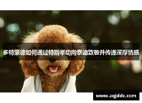 多特蒙德如何通过特别举动向泰迪致敬并传递深厚情感