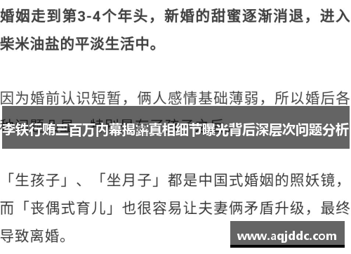 李铁行贿三百万内幕揭露真相细节曝光背后深层次问题分析
