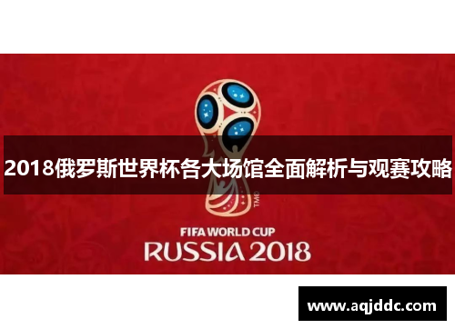 2018俄罗斯世界杯各大场馆全面解析与观赛攻略
